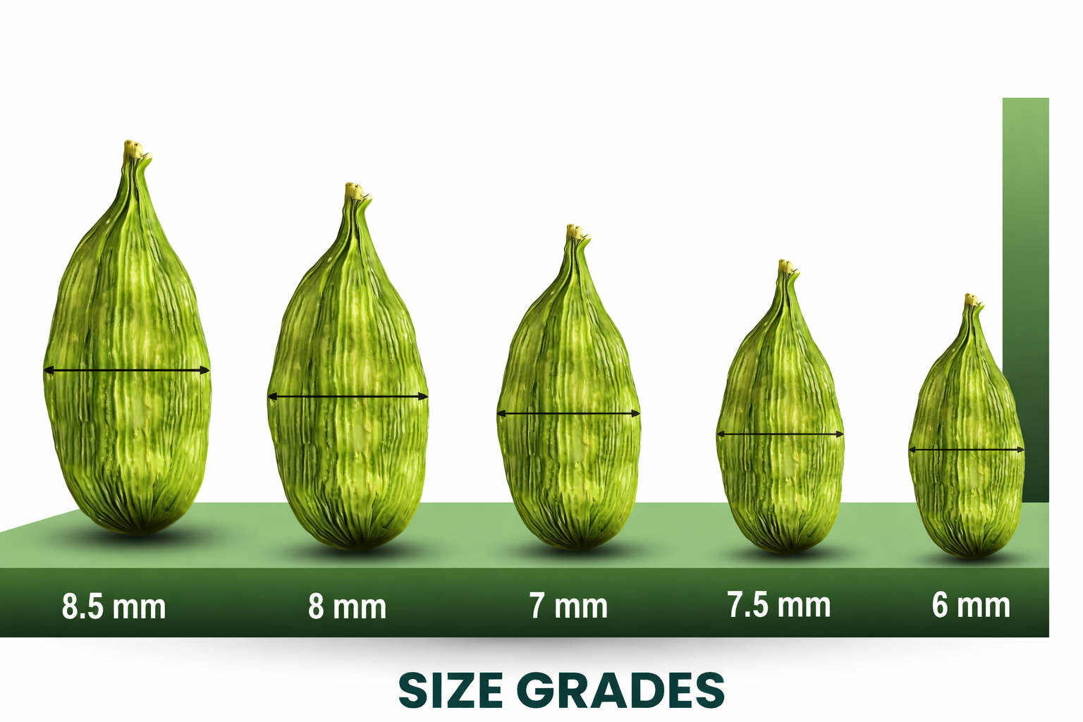 Cardamom Grades